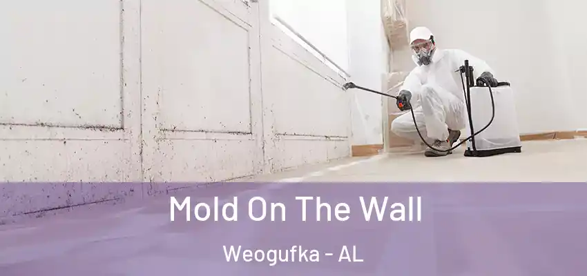  Mold On The Wall Weogufka - AL