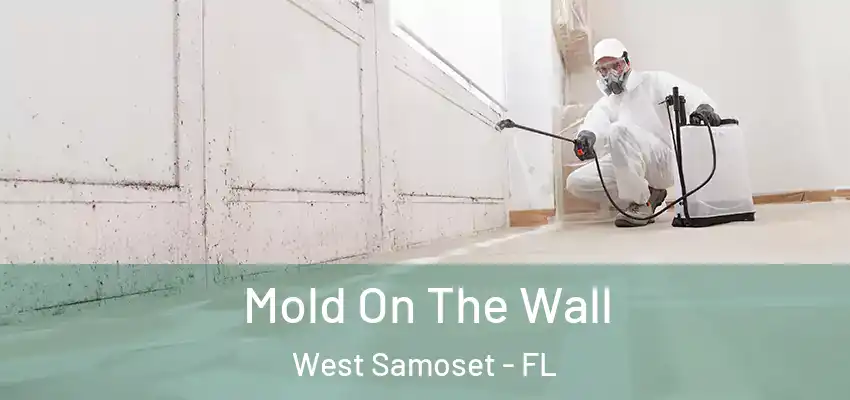 Mold On The Wall West Samoset - FL