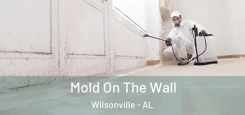 Mold On The Wall Wilsonville - AL