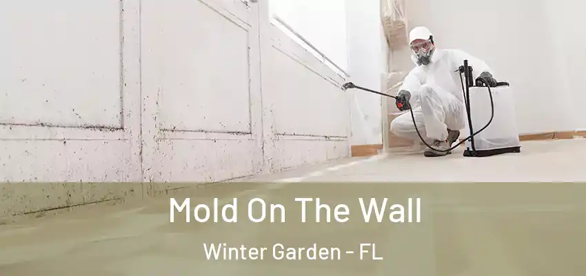  Mold On The Wall Winter Garden - FL