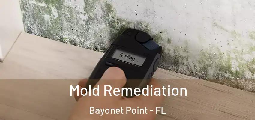 Mold Remediation Bayonet Point - FL