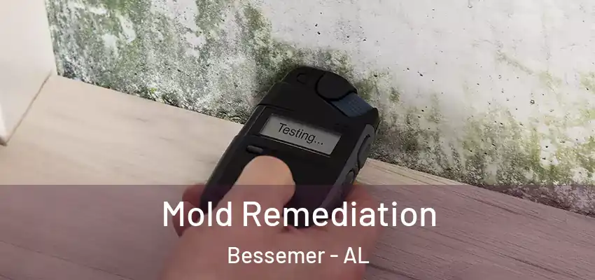 Mold Remediation Bessemer - AL