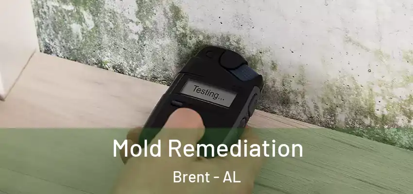 Mold Remediation Brent - AL