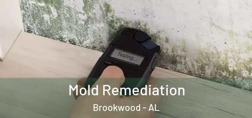 Mold Remediation Brookwood - AL