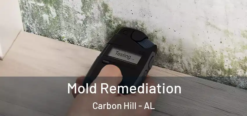  Mold Remediation Carbon Hill - AL