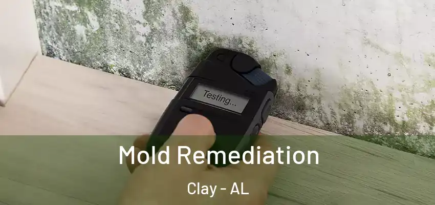  Mold Remediation Clay - AL