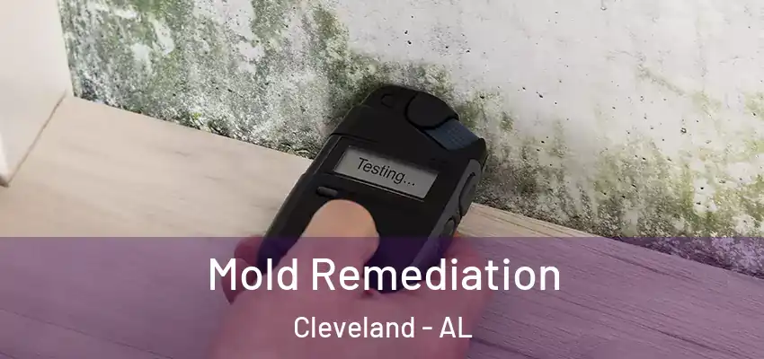 Mold Remediation Cleveland - AL