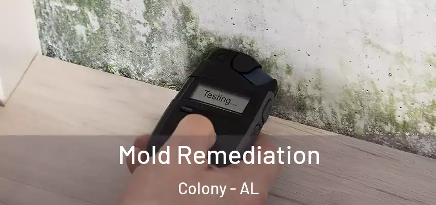  Mold Remediation Colony - AL