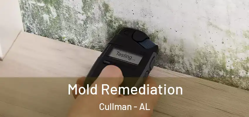  Mold Remediation Cullman - AL