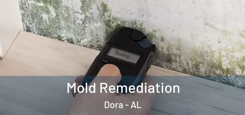 Mold Remediation Dora - AL