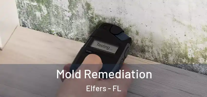 Mold Remediation Elfers - FL