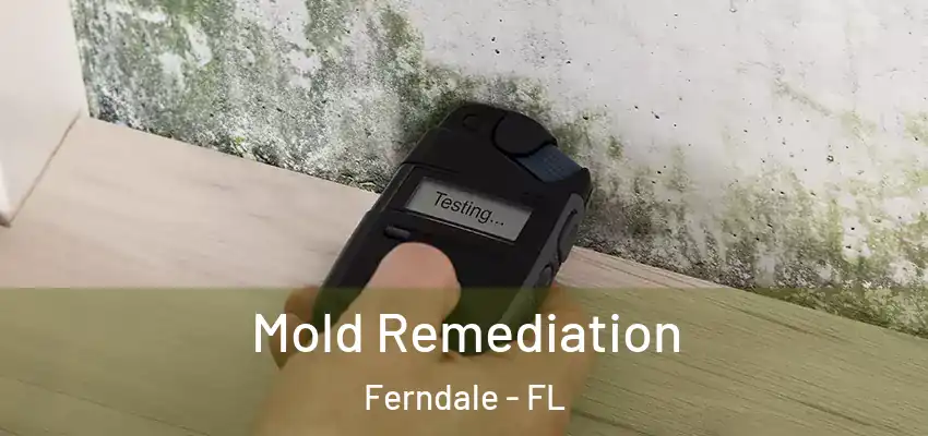 Mold Remediation Ferndale - FL