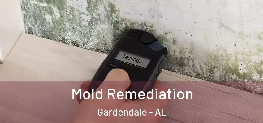  Mold Remediation Gardendale - AL