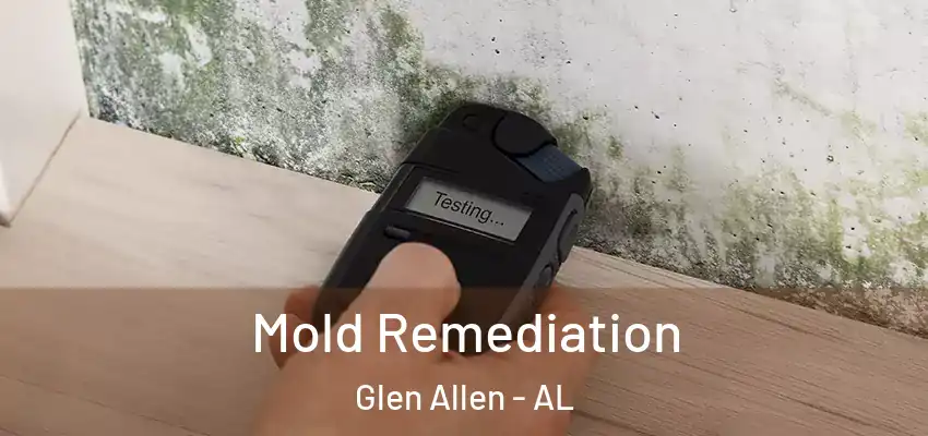  Mold Remediation Glen Allen - AL