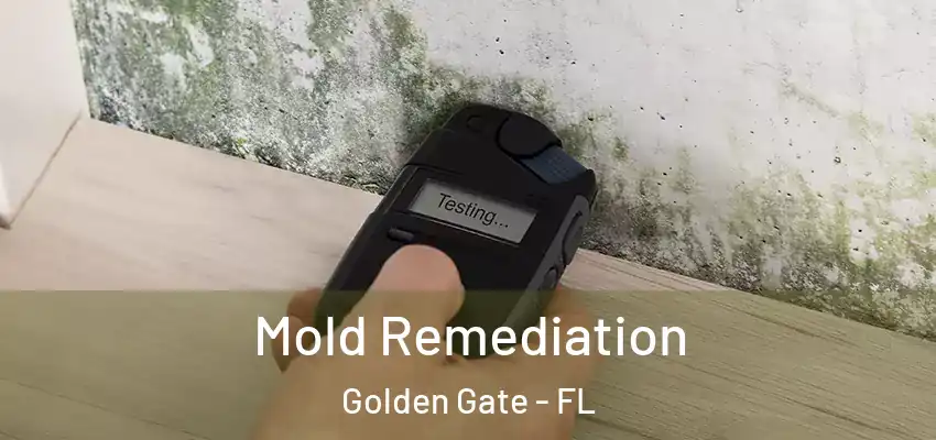 Mold Remediation Golden Gate - FL
