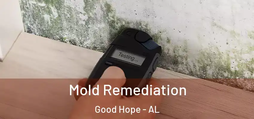  Mold Remediation Good Hope - AL