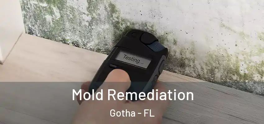 Mold Remediation Gotha - FL