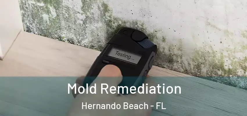 Mold Remediation Hernando Beach - FL