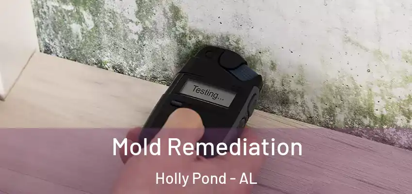 Mold Remediation Holly Pond - AL