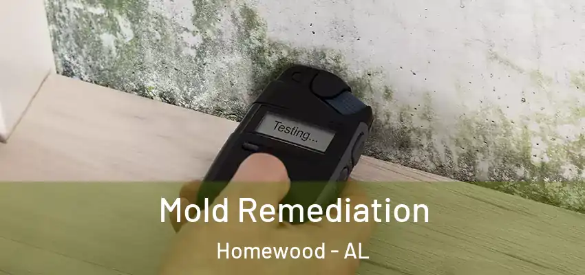  Mold Remediation Homewood - AL