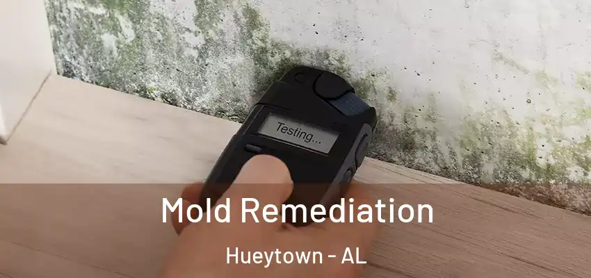 Mold Remediation Hueytown - AL