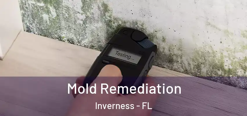  Mold Remediation Inverness - FL