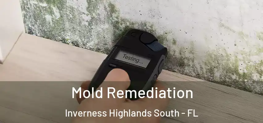 Mold Remediation Inverness Highlands South - FL