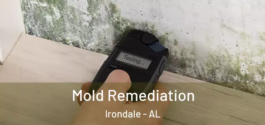 Mold Remediation Irondale - AL