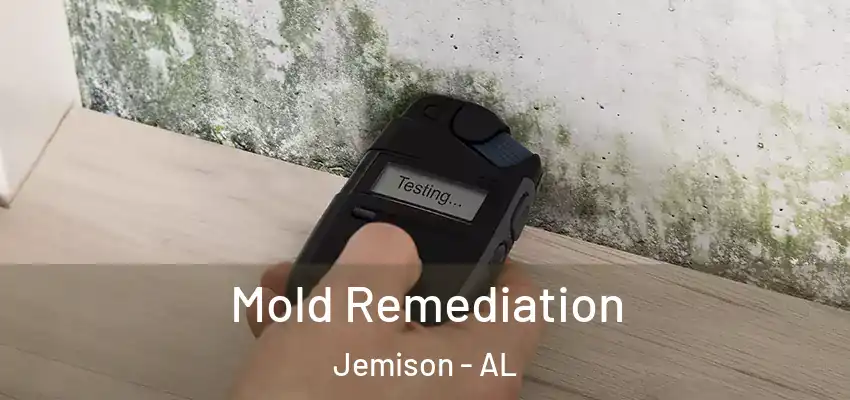 Mold Remediation Jemison - AL