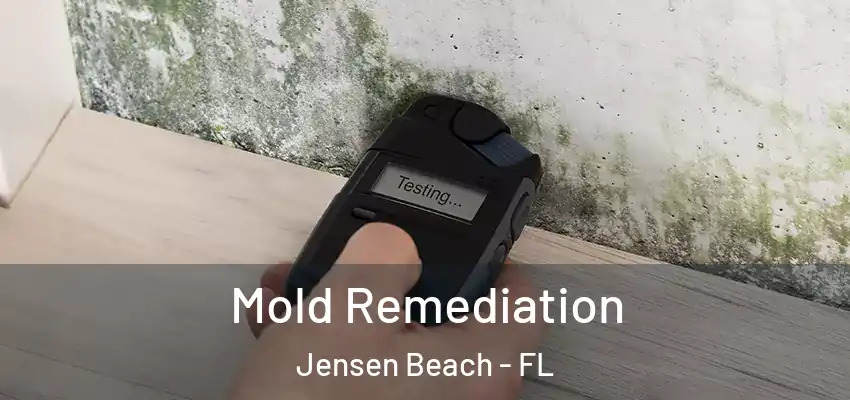 Mold Remediation Jensen Beach - FL