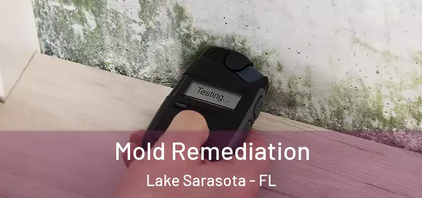  Mold Remediation Lake Sarasota - FL