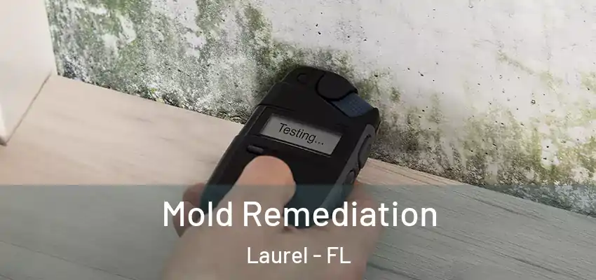 Mold Remediation Laurel - FL