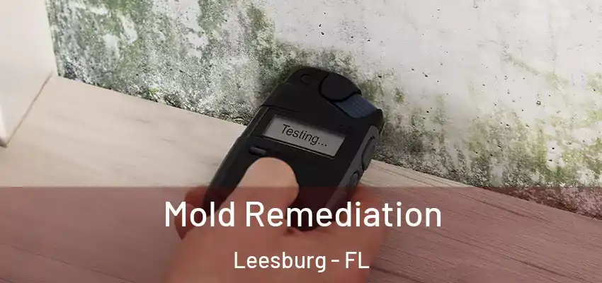  Mold Remediation Leesburg - FL