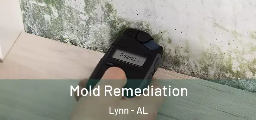 Mold Remediation Lynn - AL