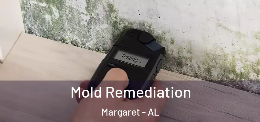 Mold Remediation Margaret - AL