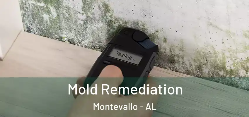 Mold Remediation Montevallo - AL