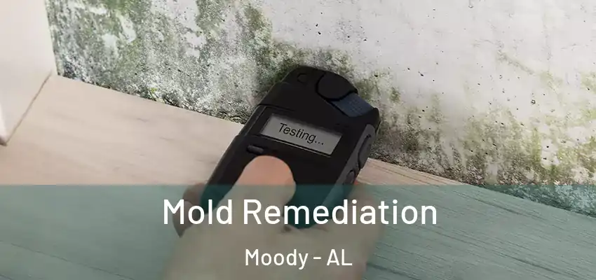  Mold Remediation Moody - AL