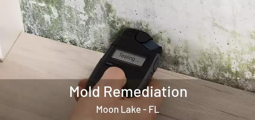  Mold Remediation Moon Lake - FL