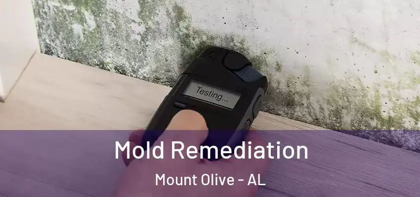 Mold Remediation Mount Olive - AL