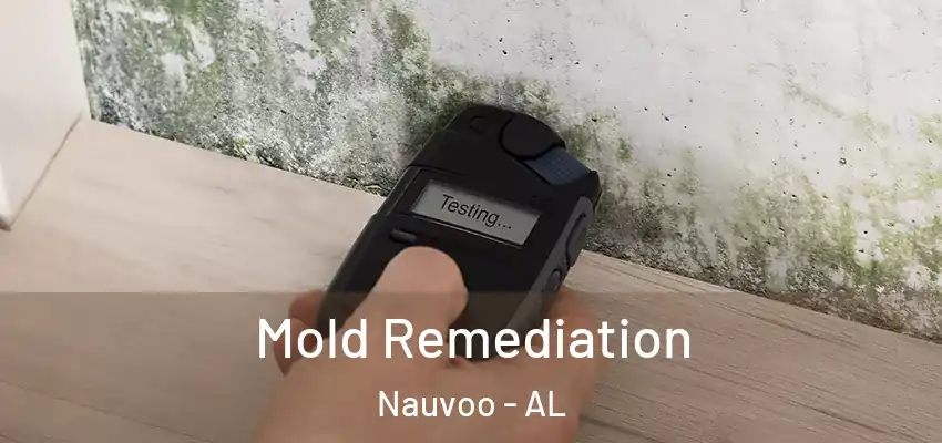 Mold Remediation Nauvoo - AL
