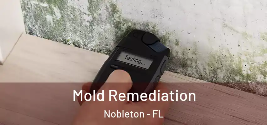 Mold Remediation Nobleton - FL