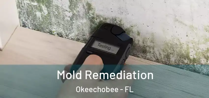  Mold Remediation Okeechobee - FL
