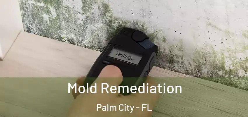  Mold Remediation Palm City - FL