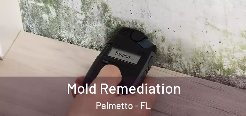 Mold Remediation Palmetto - FL