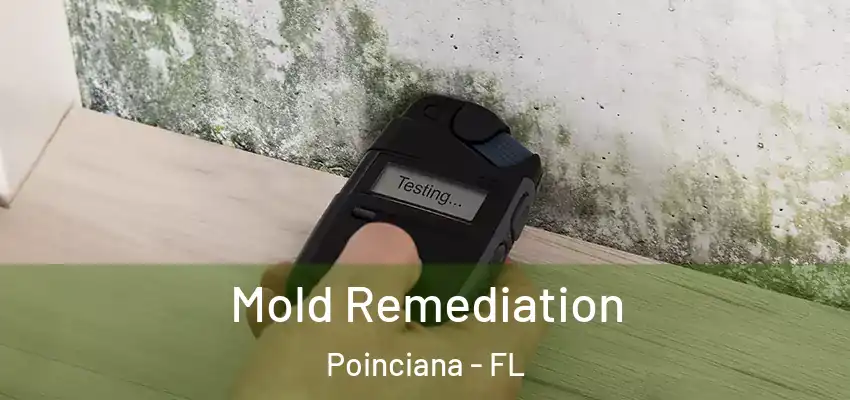  Mold Remediation Poinciana - FL