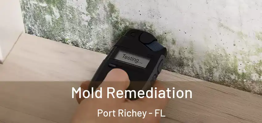 Mold Remediation Port Richey - FL