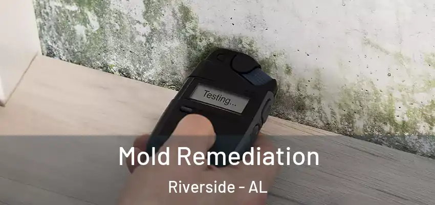 Mold Remediation Riverside - AL