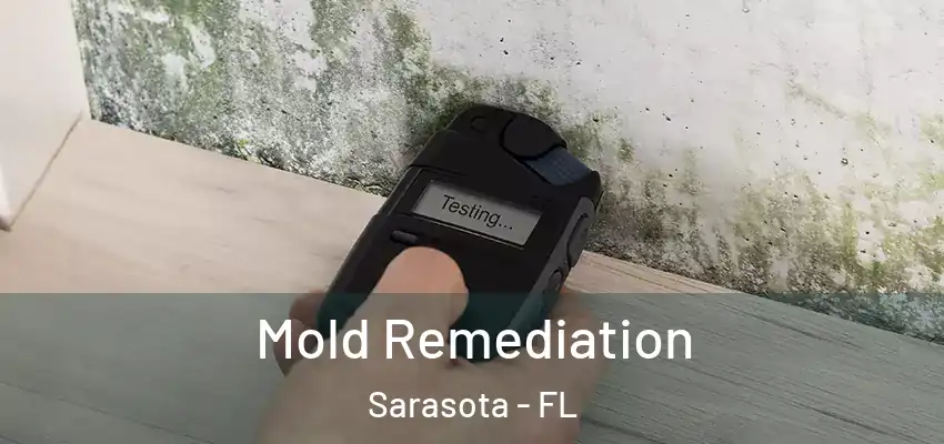 Mold Remediation Sarasota - FL