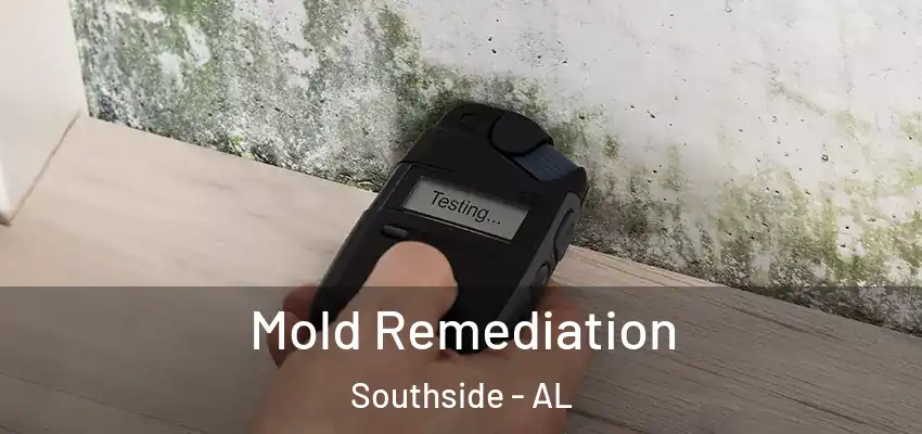  Mold Remediation Southside - AL