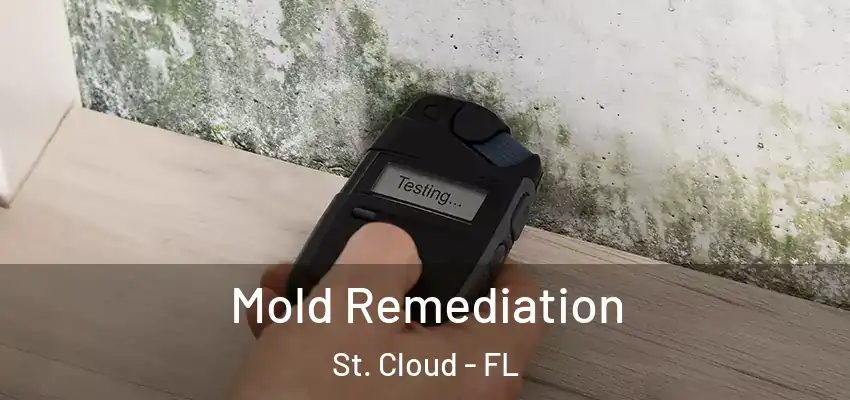 Mold Remediation St. Cloud - FL